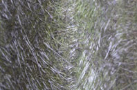 Queens Corner fibreglass roof work